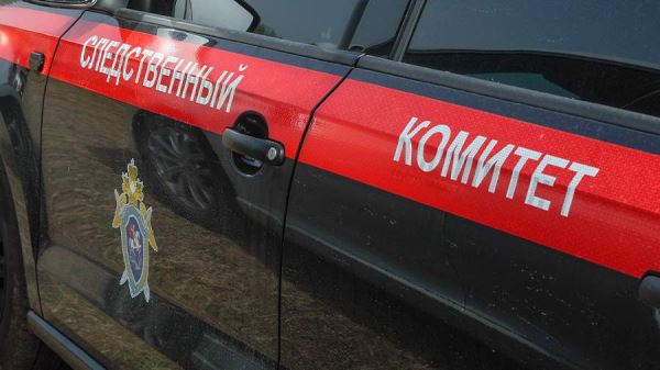 В Подмосковье возбудили дело после нападения мужчины на ребенка в аэропорту